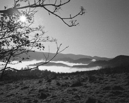 Lakes Mist Photograph by David Eadington ©2025 David Eadington. Contact dave@eadington.co.uk 