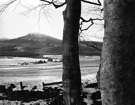 Aberdeenshire Photograph by David Eadington ©2026 David Eadington. Contact dave@eadington.co.uk