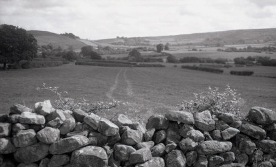 Danby Dale Wall Photograph by David Eadington ©2025 David Eadington. Contact dave@eadington.co.uk