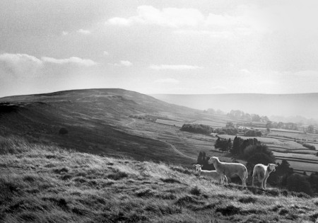 Castleton Rigg Photograph by David Eadington ©2026 David Eadington. Contact dave@eadington.co.uk 