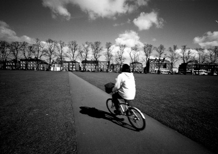 Cambridge Photograph by David Eadington ©2025 David Eadington. Contact dave@eadington.co.uk 