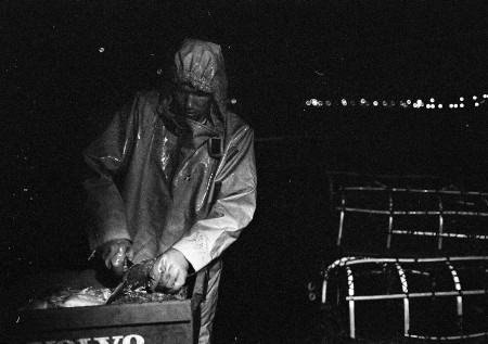 Lobster Potting 2 Photograph by David Eadington ©2025 David Eadington. Contact dave@eadington.co.uk