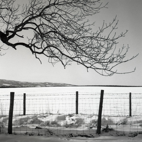 Snow Field Photograph by David Eadington ©2025 David Eadington. Contact dave@eadington.co.uk 