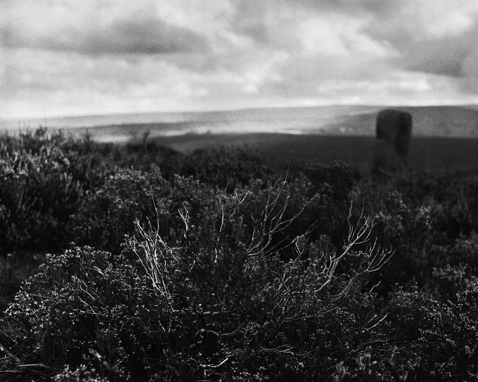 North York Moors Photograph by David Eadington ©2021 David Eadington. Contact dave@eadington.co.uk