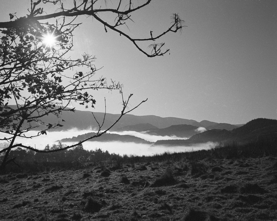 Lakes Mist Photograph by David Eadington ©2025 David Eadington. Contact dave@eadington.co.uk