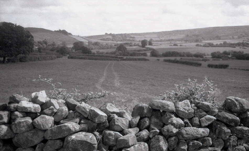Danby Dale Wall Photograph by David Eadington ©2025 David Eadington. Contact dave@eadington.co.uk