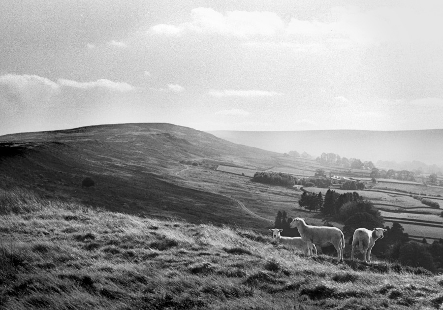 Castleton Rigg Photograph by David Eadington ©2025 David Eadington. Contact dave@eadington.co.uk