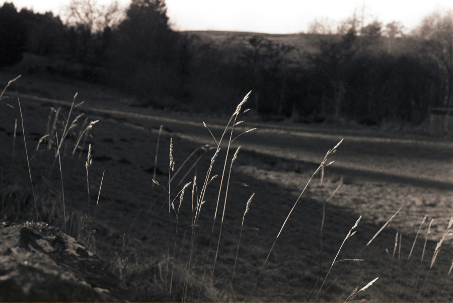 Castleton Winter Grass Photograph by David Eadington ©2025 David Eadington. Contact dave@eadington.co.uk