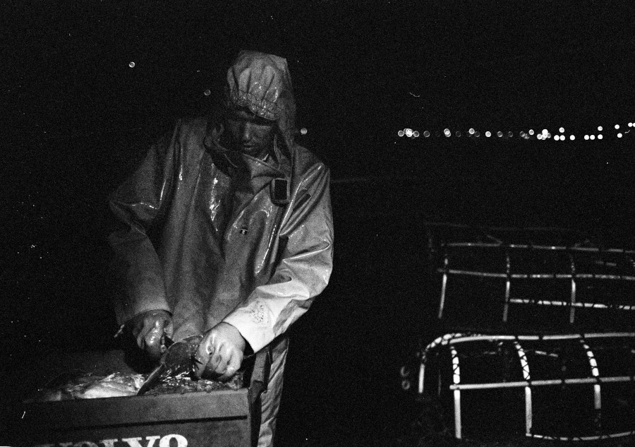 Lobster Potting 2 Photograph by David Eadington ©2025 David Eadington. Contact dave@eadington.co.uk