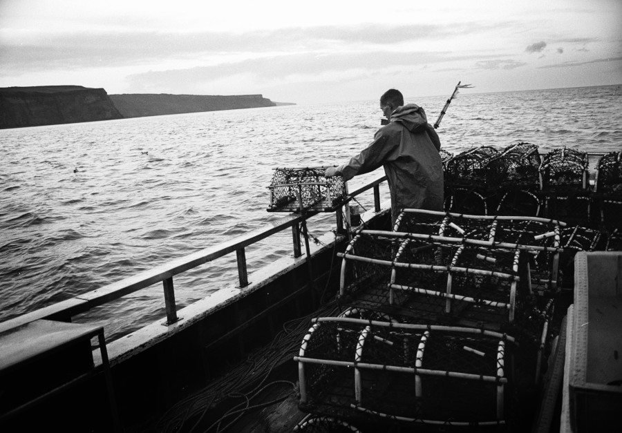 Lobster Potting 3 Photograph by David Eadington ©2025 David Eadington. Contact dave@eadington.co.uk