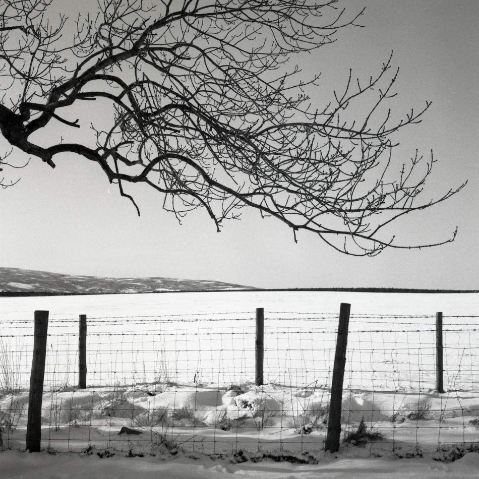Snow Field Photograph by David Eadington ©2025 David Eadington. Contact dave@eadington.co.uk